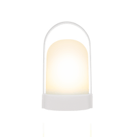 Remember | Portable LED Lamp | Pure
