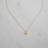 Sophie | She Shell Necklace w. Pearl | Gold